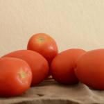 tomates